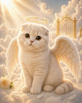 The Angel.